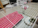 威毕兔笼兔子笼大号荷兰猪侏儒室内养宠物豚鼠刺猬小型松鼠笼子专用 白色大号-8件套 实拍图