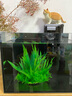 森森（SUNSUN）鱼缸造景水族装饰水草植物摆件水族箱造景仿真水草前中景草 ZJ-104B 实拍图