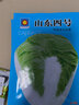 大白菜种子白菜种籽阳台盆栽四季易种植白菜种子蔬菜种子大全 山东四号白菜籽【2包 2千粒】 实拍图