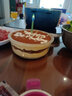 拾点渔 蛋糕装饰 生日蜡烛生日装饰生日布置蛋糕蜡烛卡通彩色火焰蜡烛 实拍图