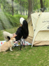 骆驼（CAMEL）帐篷户外便携式折叠野营露营公园野餐全自动帐篷【山系熊猫】 晒单实拍图