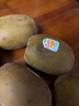 佳沛（zespri）新西兰阳光金奇异果10粒礼盒巨大果单果约146-175g水果猕猴桃 实拍图