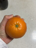 集南鲜 赣南脐橙 江西橙子新鲜现摘水果脐橙时令生鲜水果甜橙 水果礼盒 净重4.5斤 甄选橙 单果70-80mm 实拍图