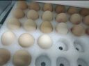 德青源A级鲜鸡蛋32枚1.37kg 无抗生素 谷物喂养 自有农场 节日礼盒装 实拍图