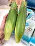 骑猴赶马漳州牛奶玉米【顺丰】生吃即食玉米新鲜采摘代餐爆浆牛奶水果玉米 【顺丰/JD】牛奶玉米 1.1斤 【2根】 【约2根】 实拍图