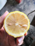 优木良品 南非进口黄柠檬 新鲜水果应季生鲜 10个装 单果约130-150g/个 实拍图