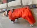 SLPC狗狗衣服冬天保暖中小型犬加厚四脚狗棉衣泰迪柯基小狗幼犬冲锋衣 橙 XL（适合约12-15斤） 实拍图