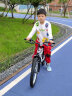 迪卡侬自行车ST120青少年山地车6速20寸学生通勤单车自行车-4810987 晒单实拍图