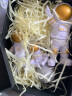 威安 创意宇航员小摆件桌面客厅电视柜儿童房布置家居装饰摆设品 金色三件套（礼盒+灯带） 实拍图