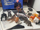 贝可麦拉儿童野生仿真动物玩具男女孩早教认识恐龙模型摆件礼物过家家 长颈鹿仿真 实拍图