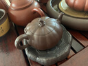 俊器万相宜兴紫砂壶纯手工南瓜壶仿生器名家徐燕小茶壶功夫茶具单人泡茶壶 紫泥小南瓜壶80cc 徐燕作品 实拍图