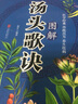 汤头歌诀 白话解读中医养生中药养生书中药书中医学 正版书籍 中医经典 方剂学习 养生保健 2024中医热 实拍图
