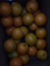 京愿湖南麻阳冰糖橙  当季甜橙子柑橘新鲜水果 9斤装（净重8.5-9斤） 实拍图