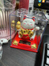 赟娅太阳能招财猫迷你车载小摆件自动摇手家居办公新年礼物 3寸葫芦猫白-太阳能带防尘罩 实拍图