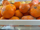 良知农哥广西茂谷柑 新鲜橘子柑橘桔子脏脏柑 实惠花皮果【外皮不好看】 9斤大果 约4个/斤 实拍图