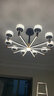 雷士（NVC）吊灯美式轻奢水晶客厅大灯LED智能卧室灯 灯具套餐厅灯饰全屋 【3室2厅】10+6头+卧室*3 实拍图