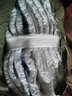 白云清洁（baiyun cleaning）AF01001 棉纱线尘推布 拖把布配件替换布 拖布120CM 实拍图