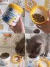 中鲨宠物胶原蛋白卵磷脂猫犬通用美毛养护毛发护肤狗狗猫咪保健营养品 胶原蛋白卵磷脂 280G1罐 实拍图