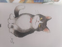 猫与我。 猫与美少女的温馨日常 四十位日本知名插画家笔下的猫咪和美少女 实拍图