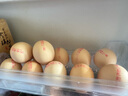 德青源鲜鸡蛋 无抗生素无激素  优质蛋白 营养早餐 生鲜鸡蛋 农场鲜供 谷饲鲜鸡蛋20枚 实拍图