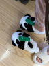 chikoku熊猫棉拖鞋女包跟居家厚底保暖情侣棉鞋男冬季 熊有成竹 36/37  晒单实拍图