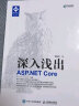 深入浅出 ASP.NET Core(异步图书出品) 实拍图