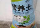 嘉际种花种菜营养土花土30斤通用多肉土壤营养土批发养花土种花种菜泥 约30斤精选营养土【种菜专用】 实拍图