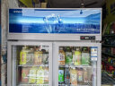 星星（XINGX）展示柜冷藏保鲜柜双开门立式冰柜饮料柜 商用冰箱风直冷超市便利店水果啤酒冷柜 热荐518升 双风机循环制冷 LSC-518Y 晒单实拍图