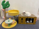 喵丽丝猫抓板板耐磨不掉屑猫咪猫爪板猫屋猫窝一体猫房子纸箱屋四季通用 双层双门大号25斤内适（送薄荷） 实拍图