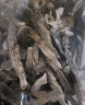 生鲜慕鹿茸菇干货500g 菌菇煲汤火锅蘑菇食材料年货礼包送礼源头直发 晒单实拍图
