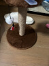 加仕高猫爬架猫抓柱猫树猫架子跳台剑麻抓板猫玩具猫咪磨爪用品 实拍图