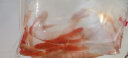 易萌 金鱼活体冷水鱼观赏鱼水族宠物活体鱼红草金鱼淡水鱼苗 3-5cm 10条 实拍图