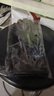 将子酒精75度喷雾消毒液家用抑菌杀菌消毒喷雾型免洗速干户外便携碘伏 酒精消毒液-1瓶 实拍图