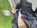 伯希和（Pelliot）【山色】冲锋衣三合一女春秋外套户外防水防风夹克登山服男 【女款】曜石黑 | 两件套 | 四季款 M 女103-115斤 男116-130斤 实拍图