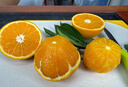 译优农正宗江西赣南脐橙赣州橙子新鲜当季孕妇水果手剥橙甜橙纽荷尔香橙 精品10斤大果带箱【保温箱】净重9斤+ 实拍图