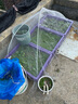 时光旧巷小拱棚支架杆蔬菜拱棚骨架育苗菜棚花棚玻璃纤维杆弹力棒农用大棚 4毫米粗1.8米长【20根】 实拍图