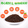 德沃多肥料多肉土颗粒植物土壤种植基质铺面石盆栽养花绿萝兰花通用型营养土 营养土3L 实拍图