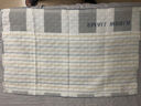 艾薇 纯棉枕巾一个儿童加大三层夹棉枕芯枕头巾  灯下萌宠蓝 50*80cm 实拍图