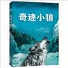 奇迹小狼儿童课外阅读勇气责任与爱的故事全插图真实还原小狼迁徙的生命奇迹英国水石儿童图书奖提名适合8-14岁小学生的课外读物暑期阅读；水石奖提名必读生命的故事开学季 实拍图