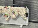 多朗 清仓碳晶石墨烯取暖器电暖器家用电暖气片对流式暖风机速热壁挂浴室取暖器 豪华智能款1600W 实拍图
