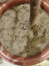 车厘子树苗樱桃树苗南方北方种植盆栽庭院果树矮化樱桃树大樱桃苗 12年很大苗（当年结果）品种备注 实拍图