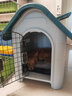 华元宠具（hoopet）狗窝狗房子狗屋室外小型大型犬室内别墅户外狗笼狗窝四季通用夏季 中号-带天窗带门【30斤】 实拍图