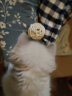 田田猫自然风藤编丝带彩带小球藤球猫玩具猫用品内含小铃铛2个装 实拍图