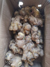 正鲜季（ZHENGXIANJI）正宗云南小黄姜新鲜姜现挖姜生沙地黄姜月子姜调味1新鲜蔬菜整箱 1000g 实拍图