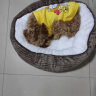 嬉皮狗（hipidog） 狗狗衣服秋冬季泰迪衣服小型犬保暖打底衫防掉毛比熊幼犬衣服 黄色条纹 M (建议体重6-8斤) 实拍图