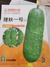 ldeal理想农业 水果黄瓜种子四季种蔬菜种籽阳台盆栽秋黄瓜旱黄瓜种子 实拍图