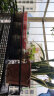 安尔雅 花架 阳台装饰多层家用置物架户外铁艺花架子客厅绿萝多肉花盆架 实拍图