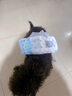 嬉皮狗狗狗尿不湿公狗纸尿裤超薄狗狗生理裤小型犬泰迪柯基金毛中大型犬 女宝L（建议体重15-32斤） 实拍图