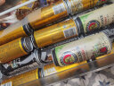 费尔德堡（feldschlobchen）德国原装进口费尔德堡啤酒整箱 500mL 18罐 整箱装 （黑啤7月到期） 实拍图