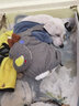 阿莫尔宠物小狗狗衣服秋冬装加绒加厚保暖泰迪比熊小型犬四脚衣猫咪衣服 小鹿背带(四脚) S-建议2-4斤内 实拍图